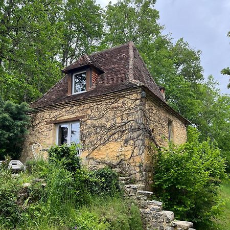 Petite Maison En Perigord Noir Plazac Eksteriør billede