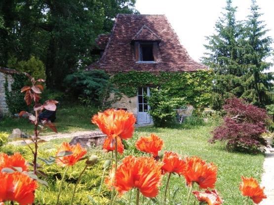 Petite Maison En Perigord Noir Plazac Eksteriør billede