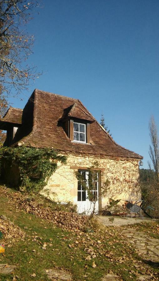 Petite Maison En Perigord Noir Plazac Eksteriør billede